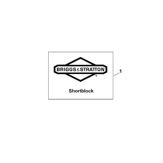 B&S - serijska številka  od 09  09P702-0237-H5 L - Motor po delih (motorni blok brez glave valjev) della Marca Stihl
