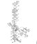 Pihalniki (BG, BR) BG 66 C-E D Uplinjac C1M-S205, C1M-S144 della Marca Stihl