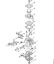 Posebne naprave (PC, SP, MC) PC 75 Uplinjac C1Q-S157 (41.2017) della Marca Stihl