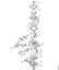 Motorne kose (FS) FS 55 R Uplinjac C1Q-S265 della Marca Stihl