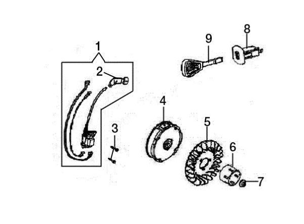 Flywheel and coil ARTIK 56 Snow blower