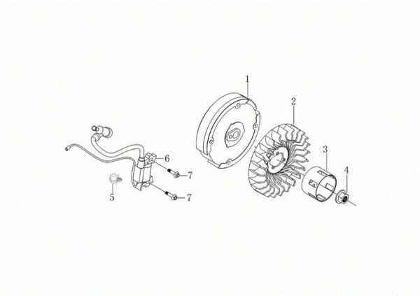 Flywheel and coil WB 65 (K1100 H) Flail mowers