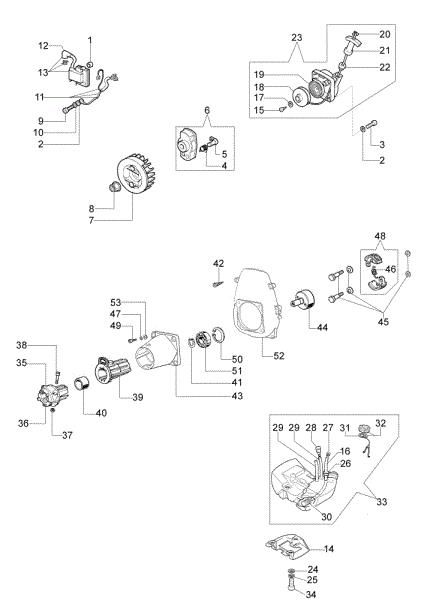 Starter assy and fuel tank PP 250 Pole pruner