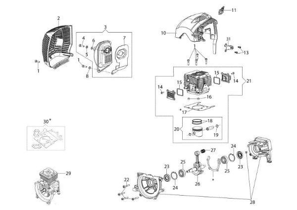 Motor BCF 550 Desbrozadora