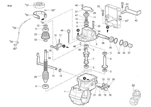 Engranaies (1/2) WB50 (K800H) Desbrozadora de ruedas