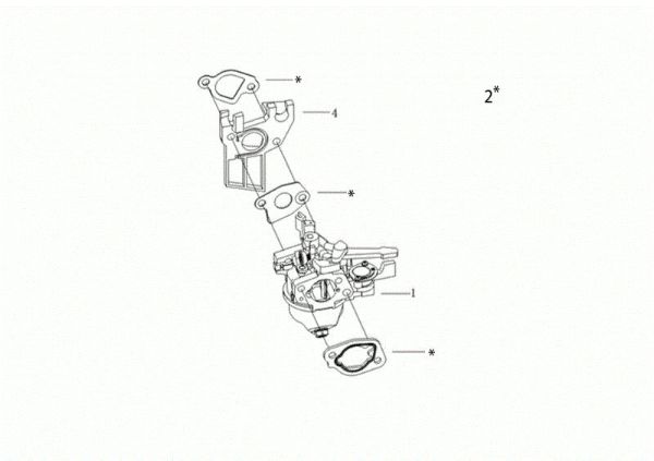 Carburador MOTORE K800 H (EURO 5) Motor K800 H (EURO 5)