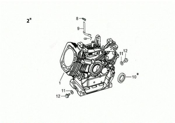 Carter motor MOTORE K1100 H (EURO5) Motor