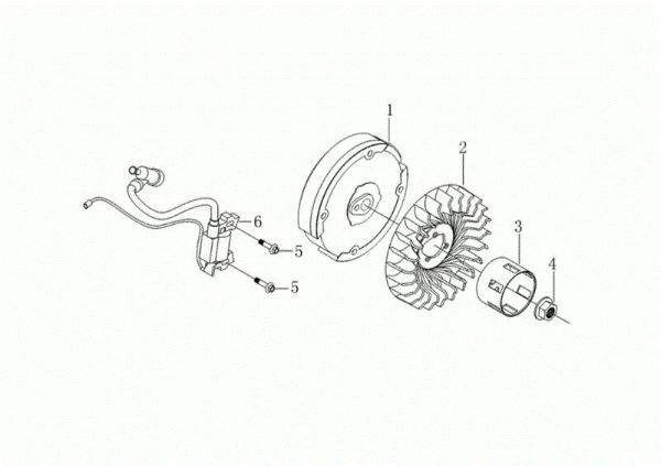 Volante y bobina digital MOTORE K900 H Motor